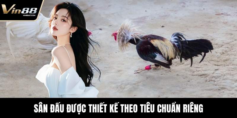 Đá Gà Tre - Màn Đối Kháng Kỹ Thuật Đỉnh Cao Tại VIN88 2 Sân đấu được thiết kế theo tiêu chuẩn riêng